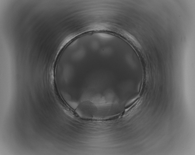 X0000111821226200908061129