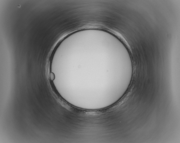 X0000111821227200908061129