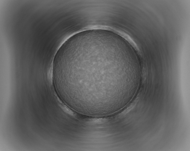 X0000111821228200908061129