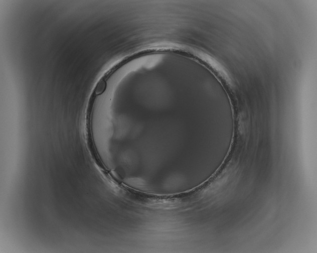 X0000111821229200908061129