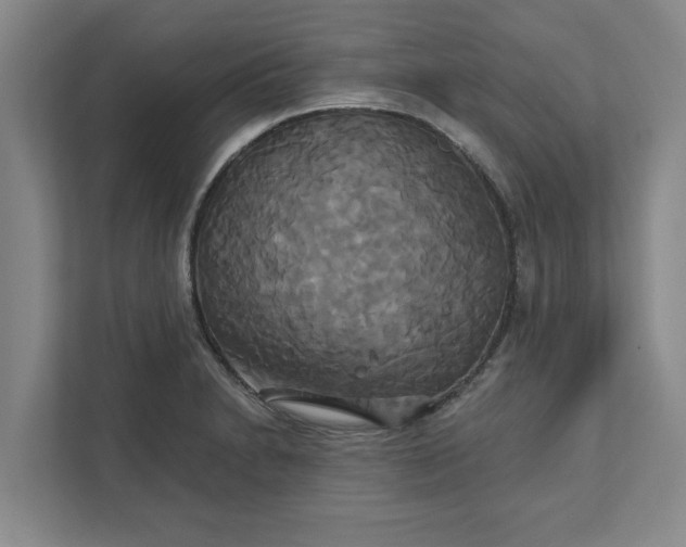 X0000111821230200908061129