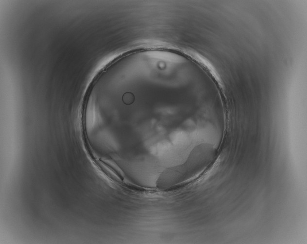 X0000111821231200908061129