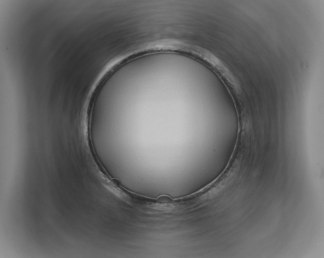 X0000111821232200908061129
