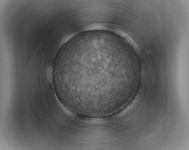 X0000111821233200908061129