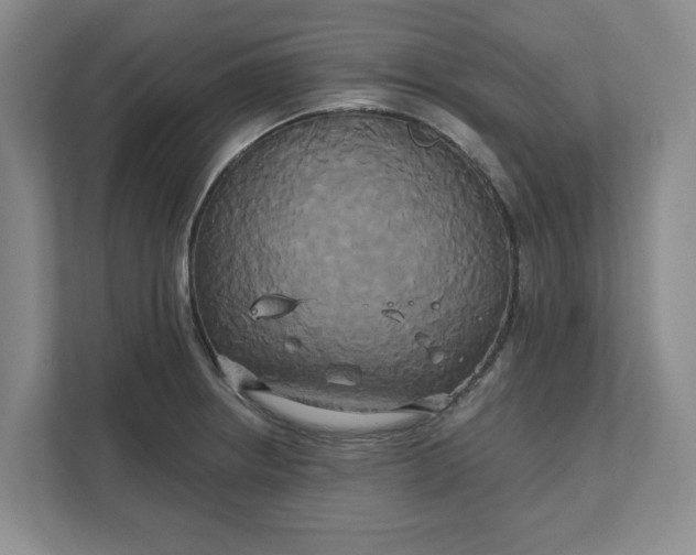 X0000111821234200908061129