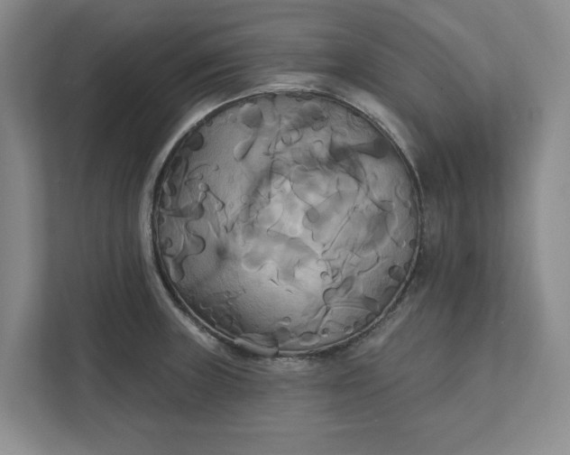 X0000111821235200908061129