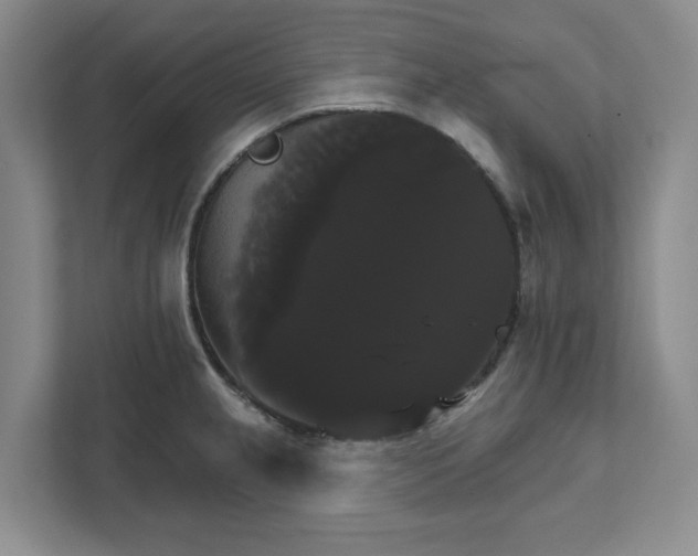 X0000111821237200908061129