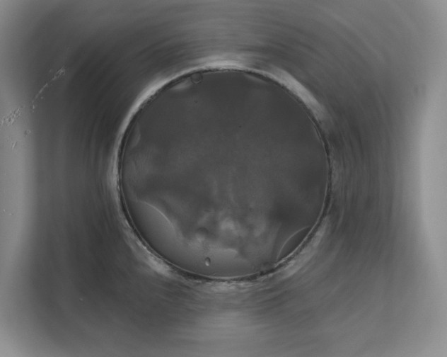 X0000111821240200908061129