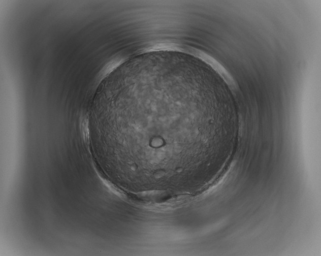 X0000111821241200908061129