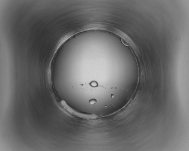 X0000111821242200908061129
