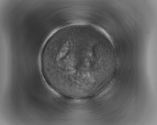 X0000111821243200908061129