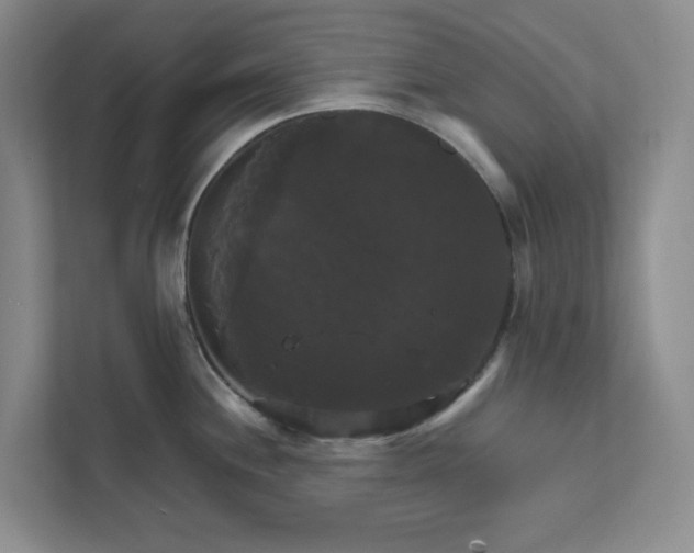 X0000111821244200908061129