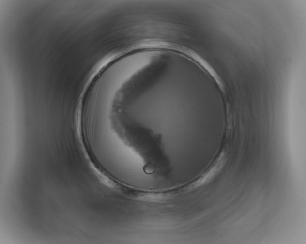 X0000111821245200908061129
