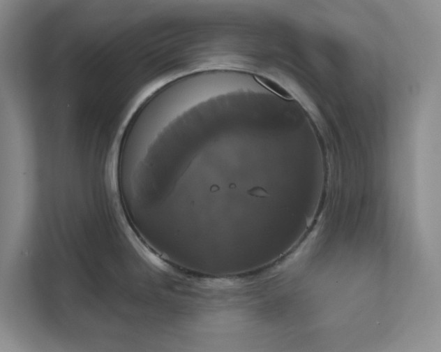 X0000111821246200908061129