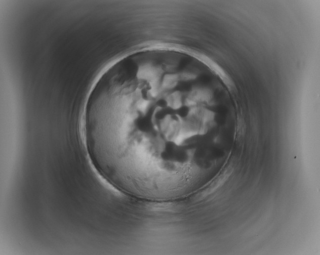 X0000111821247200908061129