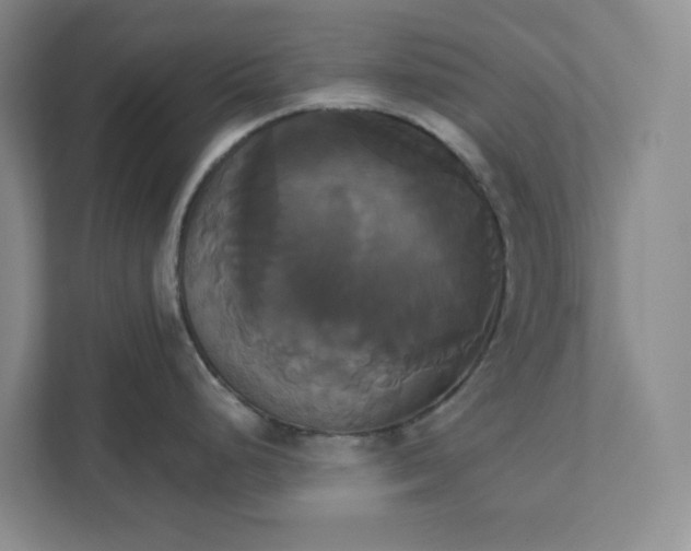 X0000111821248200908061129