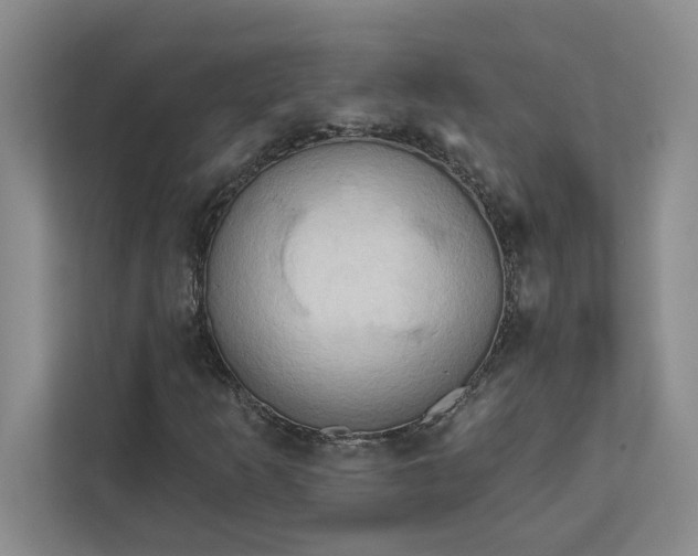 X0000111821253200908061128