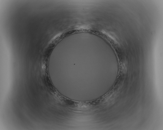 X0000111821254200908061128