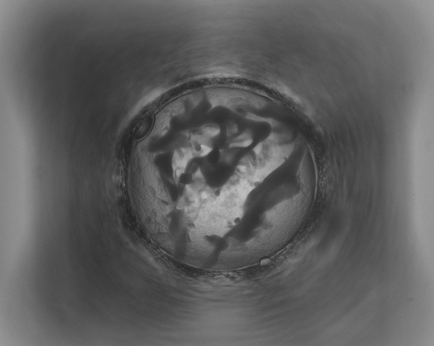 X0000111821255200908061128