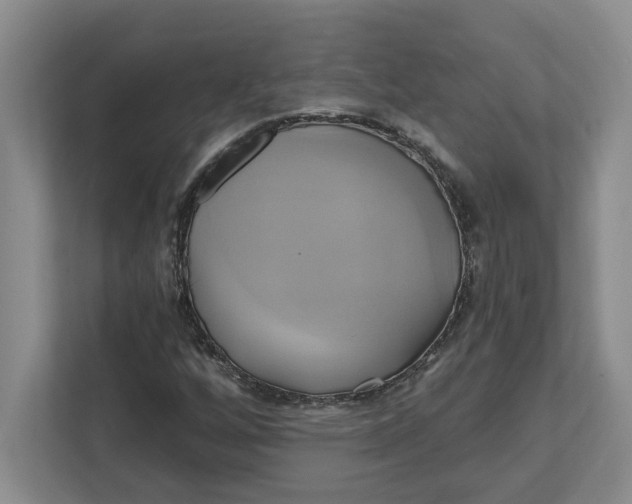 X0000111821256200908061128