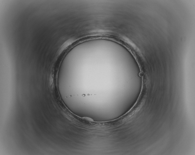 X0000111821259200908061128