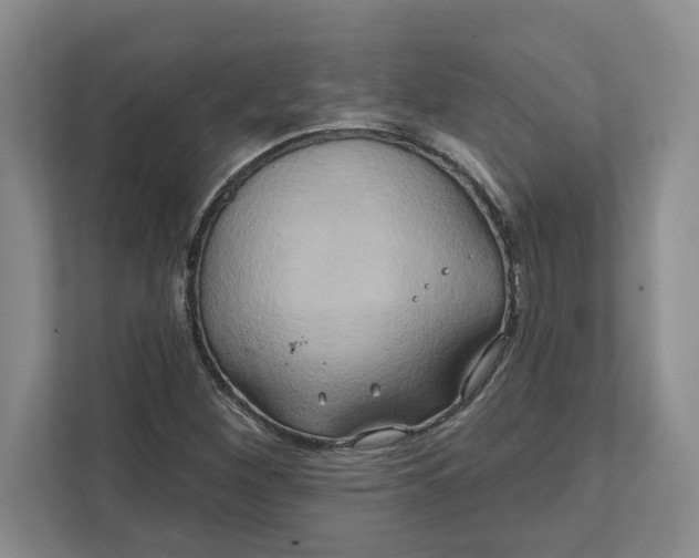 X0000111821260200908061128