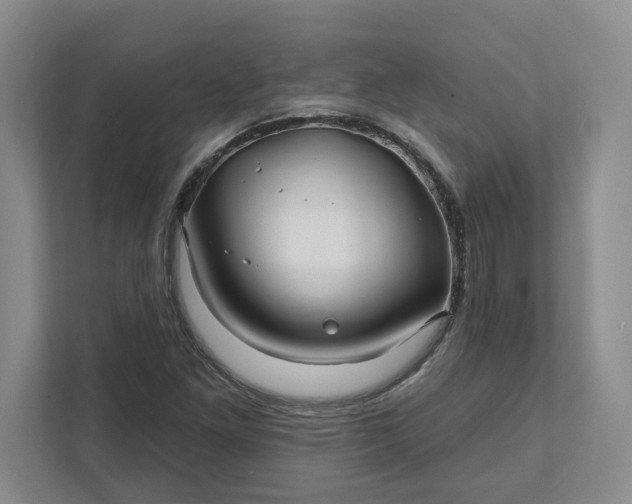 X0000111821261200908061128