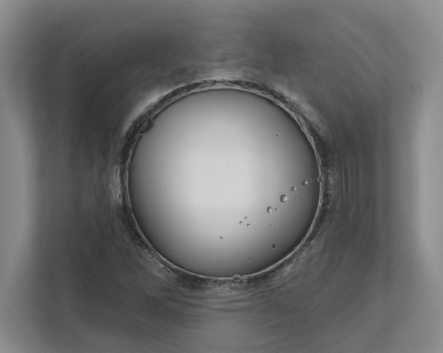 X0000111821262200908061128