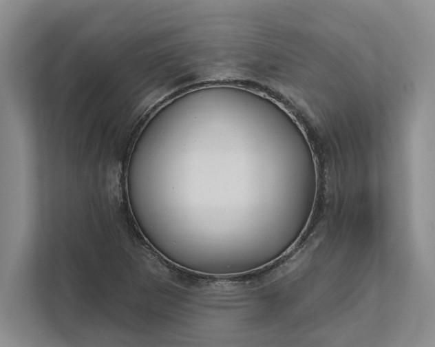 X0000111821265200908061128