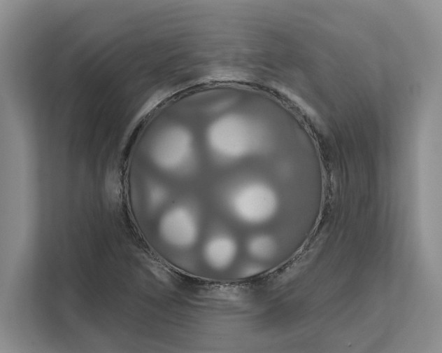 X0000111821266200908061128