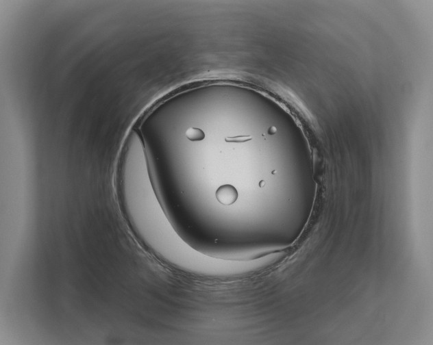 X0000111821268200908061128