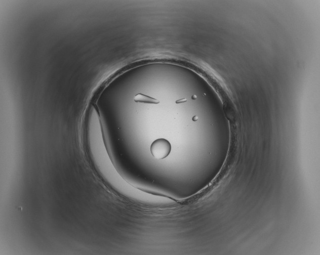 X0000111821269200908061128