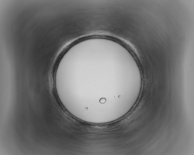 X0000111821271200908061128