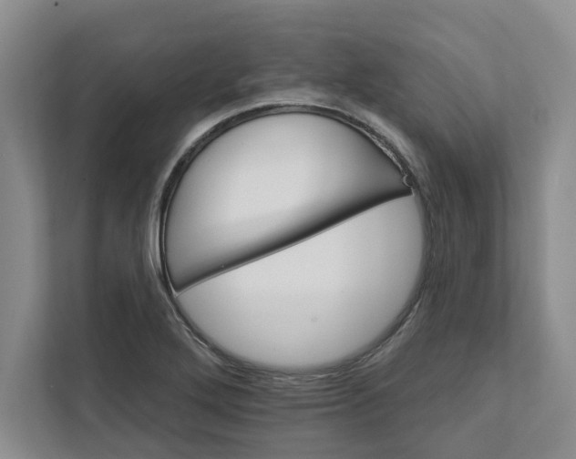 X0000111821272200908061128