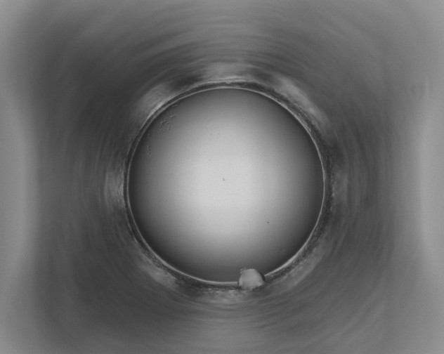 X0000111821273200908061128