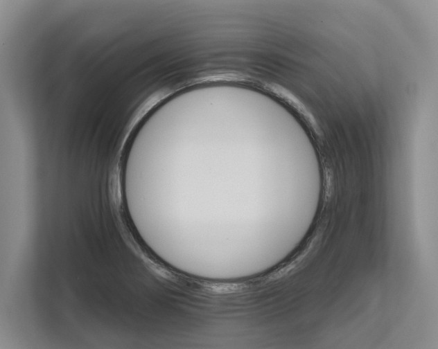 X0000111821274200908061128