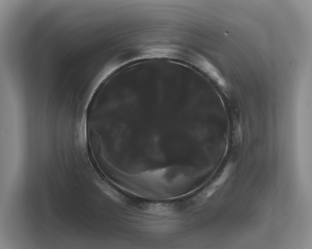 X0000111821275200908061128