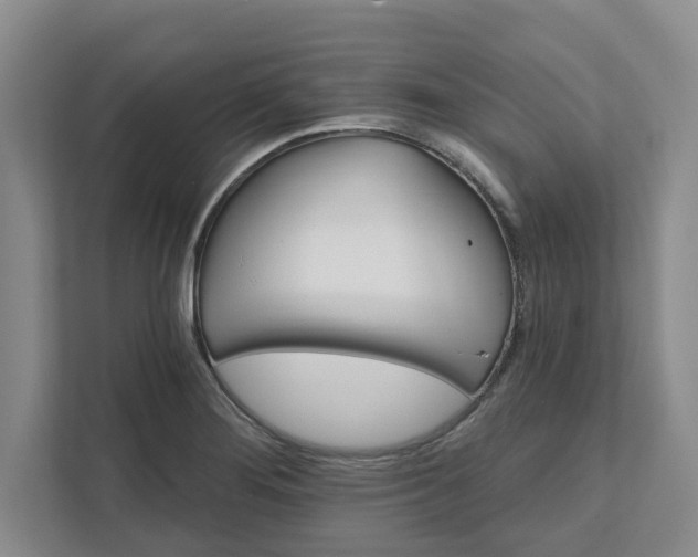 X0000111821276200908061128