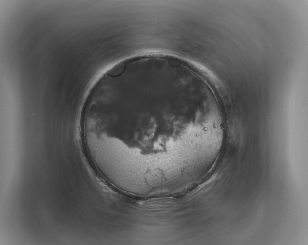 X0000111821279200908061128