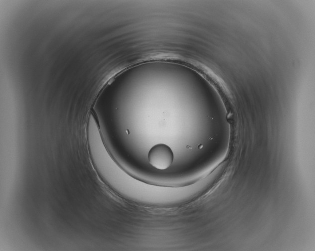 X0000111821281200908061128