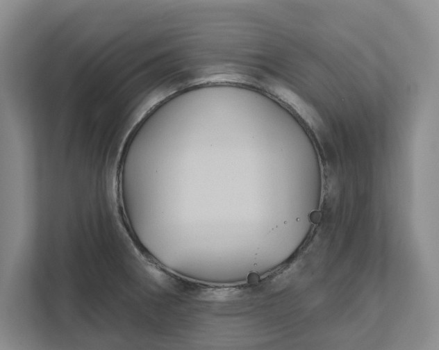 X0000111821282200908061128