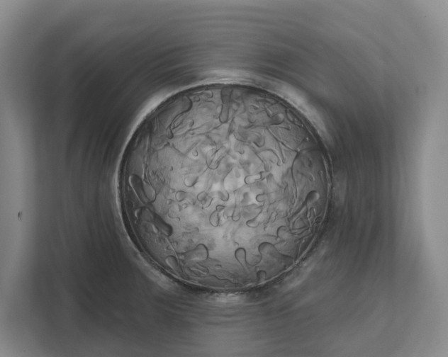 X0000111821283200908061128