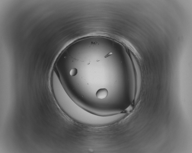 X0000111821284200908061128