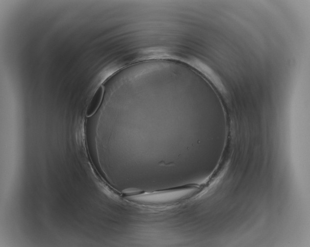 X0000111821289200908061128