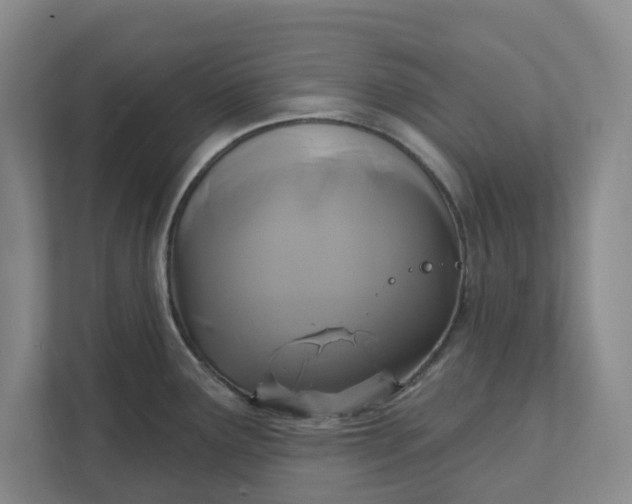 X0000111821291200908061128