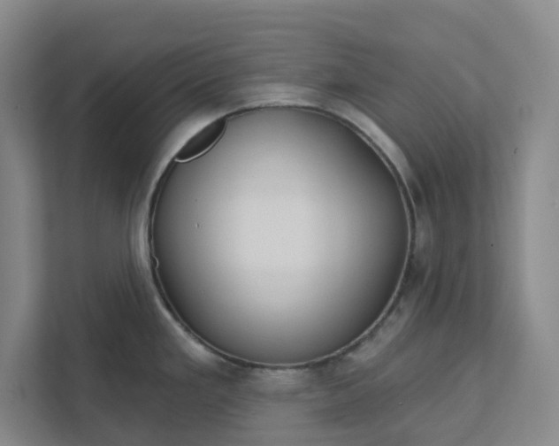 X0000111821293200908061128