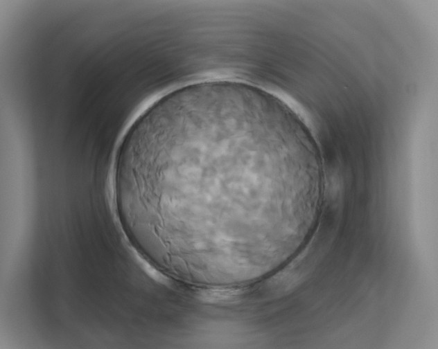 X0000111821294200908061128