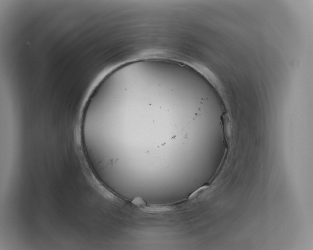 X0000111821296200908061128