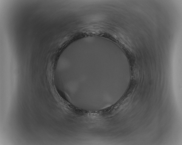 X0000111821297200908061127