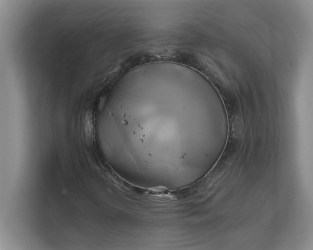 X0000111821298200908061127